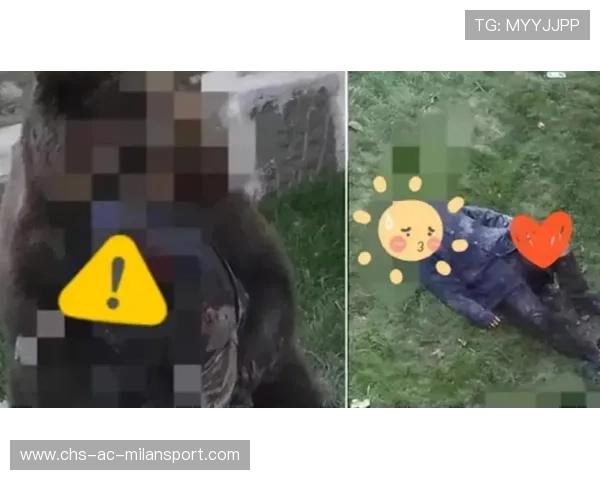 黑熊袭击现场，男孩靠本能幸存，黑熊伤人视频