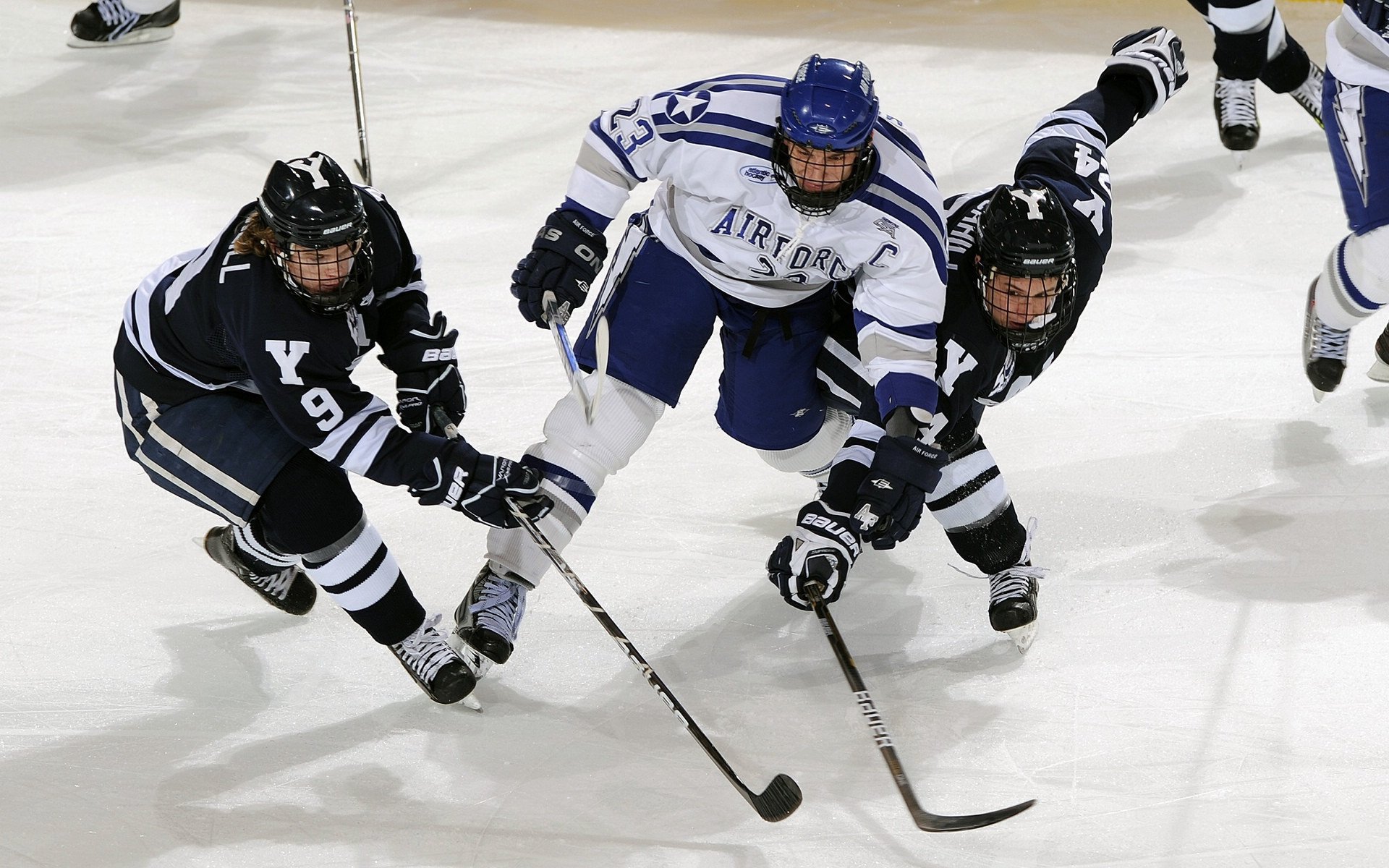 青少年多运动项目选择机制与兴趣发展研究，青少年运动规划